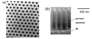 Nanostructure of the Anodic and Nanomaterials Sol-Gel Based Materials Application: Advances in Surface Engineering
